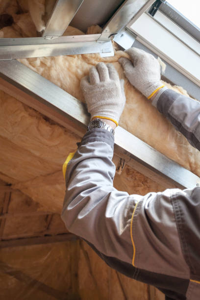Types of Insulation We Offer in Dilkon, AZ