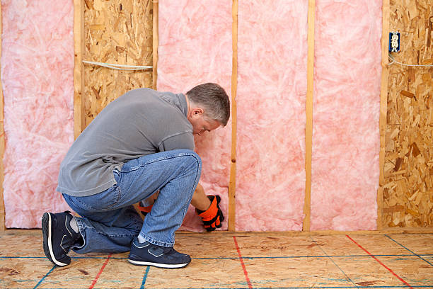 Best Residential Insulation in Dilkon, AZ