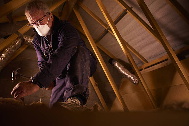 Best Fiberglass Insulation in Dilkon, AZ